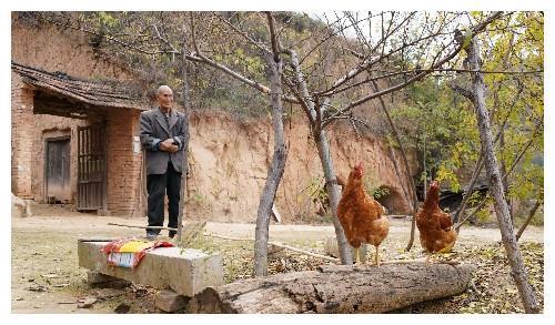 下山为王,传奇英雄的崛起之路