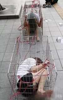 笼子里的女孩 ?? ?? ???,揭开女孩神秘命运的真相